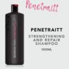 Sebastian Professional Penetraitt Shampoo, Strengthen & Repair for Damaged Hair, Professional Hair Care, 1L
