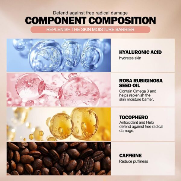 Anglicolor Liquid Concealer, Concealer Full Coverage for Dark Circles, Color Correcting, Long-Lasting, Hydrating, Suitable for All Skin Types, Vegan & Cruelty-Free (02#Light Nude, 12g)