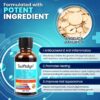 Fungal Nail Treatment for Toenalis and Fingernails: Nail Fungus Treatment for Thick, Discolored, Brittle Nails – Helps Improve Nail Appearance and Supports Healthy Growth