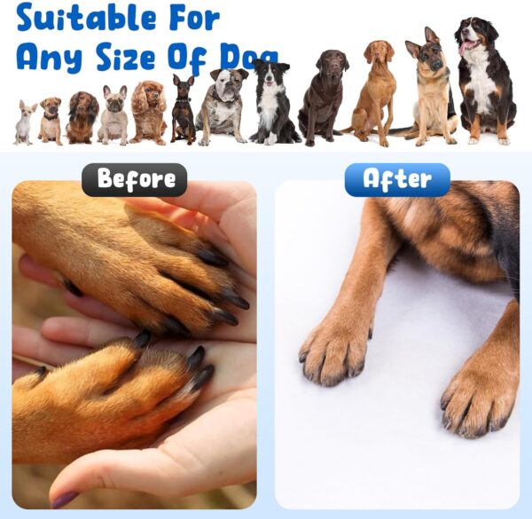 KIKIGOAL Dog Scratch Board for Nails with Snack Box & 3 Replacement Sandpaper Sheets,Dog Nail Grinding Pad for Small & Large Dogs,Puppy Nail Care,Durable Scratch Pad for Indoor Use,Easy Grooming Tool