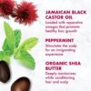 SheaMoisture Jamaican Black Castor Oil Hair Care Set: 16oz Growth Shampoo, 13oz Strengthening Conditioner, 11.5oz Leave-In Treatment, 12oz Restorative Masque for Curly Hair