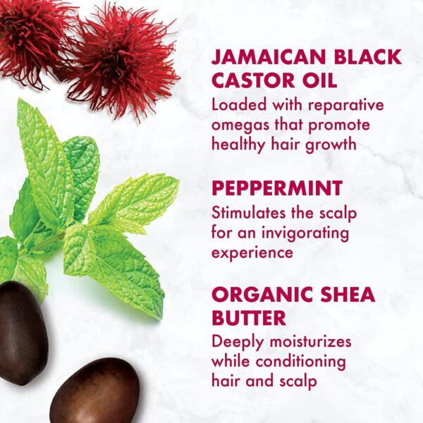 SheaMoisture Jamaican Black Castor Oil Hair Care Set: 16oz Growth Shampoo, 13oz Strengthening Conditioner, 11.5oz Leave-In Treatment, 12oz Restorative Masque for Curly Hair
