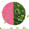 METUUTER 50 PCS Compressed Facial Sponges for Estheticians- 100% Natural Cellulose Face Sponge Professional Cosmetic Spa Sponges for Face Cleansing, Massage, Pore Exfoliating, Mask, Makeup Removal