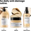 L’Oréal Professionnel | Mask, With Protein And Gold Quinoa for Medium-Thick Dry And Damaged Hair, Serie Expert Absolut Repair, 250 ml