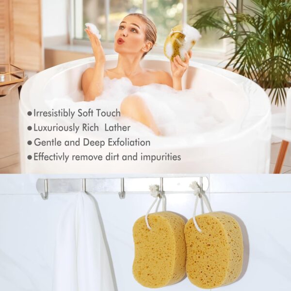 Azymi Shower Sponge, Exfoliating Bath Sponges for Adults, 2Pcs Body Scrub Sponge Dense Foam for Gentle & Deep Cleansing, Ultra-Soft for Sensitive Dry Skin