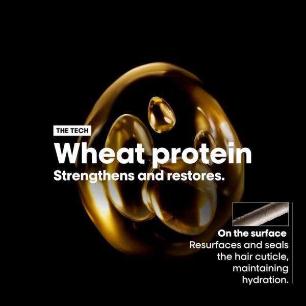 L’Oréal Professionnel | Mask, With Protein And Gold Quinoa for Medium-Thick Dry And Damaged Hair, Serie Expert Absolut Repair, 250 ml