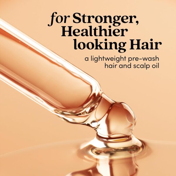 Fable & Mane HoliRoots Hair Oil, Strengthens and Repairs Dry, Damaged Hair and Scalp. Pre Wash Oil Treatment with Amla and Castor Oil (Jumbo)