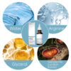 Hair Growth Serum for Thinning Hair, 30mL Vegan Multi Peptide Hair Serum for Hair Growth, Natural Frizzy Hair Serum for Men & Women.