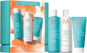 Repair and Restore Spring Set