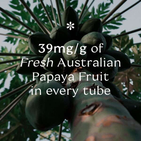 Pure Paw Paw Australian Ointment with Grape to Smooth and Soothe, Suitable For Lips, All Skin Types and Makeup 25g