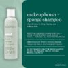 EcoTools Makeup Brush and Sponge Shampoo, Removes Makeup, Dirt, & Impurities From Makeup Brushes & Makeup Blending Sponges, Fragrance-Free, Vegan, & Cruelty-Free, 6 fl.oz./ 177 ml, 1 Count