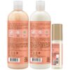 Shea Moisture Shampoo & Conditioner Set + Smooth & Shine Oil Gift Set – Coconut & Hibiscus Curl & Shine, Anti-Frizz Products for Curly Hair (3 Piece Set)