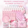 Sakura Skin Care Sets & Kits, Skin Care For Teenage Girls, Skin Care Set For Pamper Teenage Girls Gifts,Facial Kit,Skincare Set,Cleanser,Toner,Serum,Cream,Mud Mask,Eye Mask,Lip Mask,Sleep Mask(24PCS)