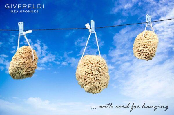 Unbleached Honeycomb Natural Sea Sponge - 100% Natural, Organic, Strong, Durable, Hypoallergenic -for Children and Adults - Used in Bath, Shower, Cleansing, Exfoliating, Art, Pets, Gift (Small)