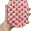 Watermelon Exfoliating Soap Filled Sponge | Exfoliating Body Wash | Soap Filled Sponge | Shower Pouf | Tan Remover & Body Scrub | Watermelon Body Wash | Bath Products | Vegan Soap | Stocking Fillers