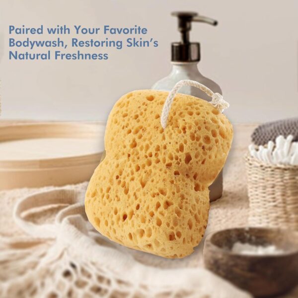 Azymi Sponges Bath, 2Pcs Larger Shower Sponges for Women Men, Exfoliating Body Sponge Dense Foam for Gentle & Deep Cleansing, Ultra-Soft for Sensitive Dry Skin