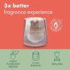 Bolsius - CleanLight Starter Set - Refillable Scented Candle - Holder & 9 Refills - Multiple Fragrances - Green - Burning Time of 20 Hours - Natural Extracts & Vegan Wax - No Palm Oil