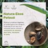 NATURA - Ekos Pataua Strengthening Mask - For Fine and Fragile Hair - Strengthens and Repairs Hair, Protects against Environmental Stressors - 100% Vegan - Cruelty Free - 200g