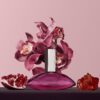 Calvin Klein Euphoria For Women