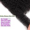 Kackanaa 16 Inch Afro Kinky Curly Human Hair Bulks for Dreadlock Extensions 1 Pack Marley Twist Hair Bulk for Mini Twist Repair Locs Springy Afro Twist Human Hair Bulk, 30g /Pack
