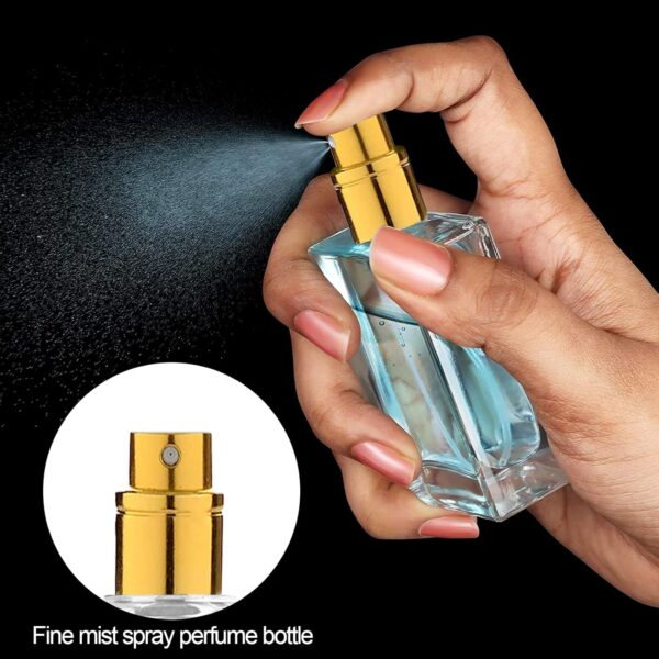 BLMHTWO 2PCS Glass Refillable Perfume Bottle, 30ml/1oz Clear Screw Bottles Cosmetic Fine Mist Atomizer Empty Perfume Atomiser with Mist Pump Portable for Fragrance Oil Travel