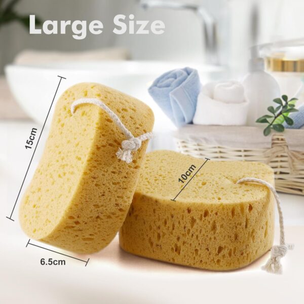 Azymi Shower Sponge, Exfoliating Bath Sponges for Adults, 2Pcs Body Scrub Sponge Dense Foam for Gentle & Deep Cleansing, Ultra-Soft for Sensitive Dry Skin