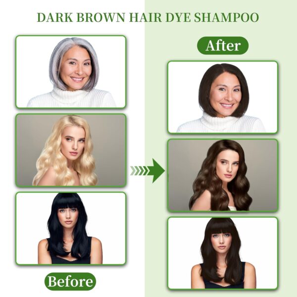 Hair Dye Shampoo 3 in 1 for Gray Hair Coverage, Herbal Ingredients Natural Shampoo Hair Dye for Women & Men/Ammonia-Free 520ml(Dark Brown)