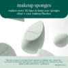 EcoTools Core Five Makeup Brush and Sponge Kit, For Eyeshadow, Blush, Bronzer, Eyeliner, & Foundation, Makeup Blending Sponge For Liquid & Cream Products, Vegan & Eco-Friendly Kit, 5 Piece Set