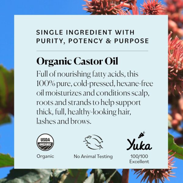 815kojqWTpL._SL1500_.jpg Sky Organics - Castor Oil Organic - Volumizing Hair Oil - Scalp, Lashes, Brows - Pure Castor Oil Cold Pressed - Natural Conditioner - Omega Fatty Acids, Vegan - Beauty, Hair Care - 8oz w ebook