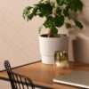 Bolsius - CleanLight Starter Set - Refillable Scented Candle - Holder & 9 Refills - Multiple Fragrances - Green - Burning Time of 20 Hours - Natural Extracts & Vegan Wax - No Palm Oil