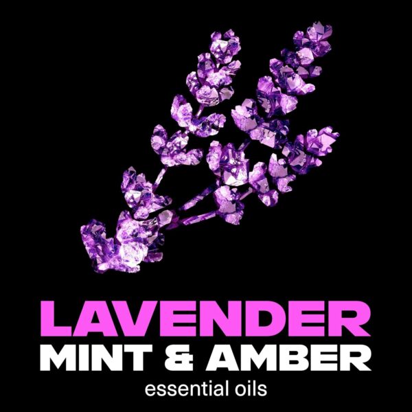 Lynx Fine Fragrance Collection Blue Lavender Premium Deodorant Bodyspray 150 ml