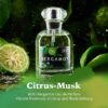 Bergamot Perfume – Citrus Perfume – Natural Perfume for Women with Essential Oils – Fresh Smelling Perfume with Citrus and Musk Notes – NOU Bergamot Perfume for Women 50ml EDP