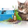 Dermoscent Essential 6 spot-on for Cats - Skin Care for Dandruff Dry or Oily Skin & Hair Loss - Natural Essential Oils & Fatty Acids - for a Healthy Skin & Coat - 4 Pipettes of 0.6 ml / 0.08 fl. oz