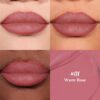 bayfree 2-IN-1 Lip Liner and Lip Stain, High Pigmented Long Lasting Velvet Lip Tint, Well-Defined Lipliner, Weightless Waterproof Not Animal Tested, Matte Finish Makeup