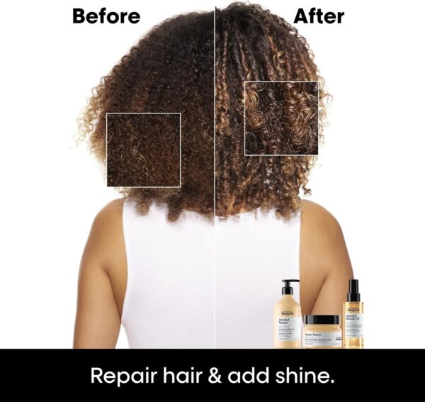 L’Oréal Professionnel | Mask, With Protein And Gold Quinoa for Medium-Thick Dry And Damaged Hair, Serie Expert Absolut Repair, 250 ml