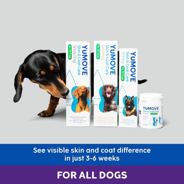 YuMOVE Skin & Coat Care Boost, Nutritional Supplement for Dogs Coat, Skin and Nails, for All Dogs, 180 scoops