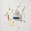 Banderas Perfumes - King of Seduction - Eau de Toilette for Men - Long Lasting - Masculine, Intense and Energetic Fragrance - Bergamot and Apple Notes - Ideal for Day Wear - 100 ml