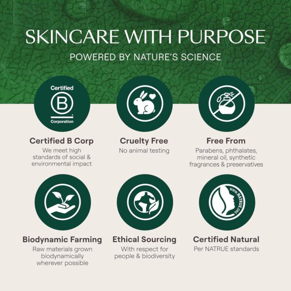 Weleda Skin Food Light, Dry Skin Moisturiser, Moisturising Cream & Primer, Face & Body, For Men & Women, Multiple Uses, 100% Certified Natural, Organic, 75ml
