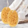 81aVAgsp3L._AC_SL1500_.jpg Body Bath Sponge 2PCS Sponges Bath Large Soft Honeycomb Bath Sponges Shower Sponges for Women Men Exfoliating Body Sponge Dense Foam for Gentle & Deep Cleansing, Ultra-Soft for Sensitive Dry Skin