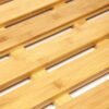 Trendi Bamboo Wooden Bath Mat | Rectangular Bath Mat | Bath Mats For Bathroom, Outdoor Shower & Spa | Multipurpose with Anti Slip Rubber Feet Duck Board Wooden Shower mats