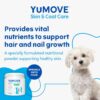 YuMOVE Skin & Coat Care Boost, Nutritional Supplement for Dogs Coat, Skin and Nails, for All Dogs, 180 scoops