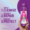 Aussie Repair And Revive Shampoo and Deep Conditioner Treatment Hair Mask Set