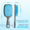 FHI Heat UNbrush Detangling Brush for Pain-Free Brushing on All Wet or Dry Hair Types — Durable DuoFlex Anti-Static Bristles, Lightweight Handle, Vented Hair Brush