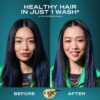 OGX Renewing + Argan Oil of Morocco Shampoo & Conditioner Set, Damage Repairing Helps Strengthen & Repair Dry, Damaged Hair, Sulfate-Free Surfactants, Four Pack, 4 x 25.4 fl. Oz