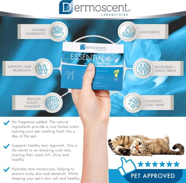 Dermoscent Essential 6 spot-on for Cats - Skin Care for Dandruff Dry or Oily Skin & Hair Loss - Natural Essential Oils & Fatty Acids - for a Healthy Skin & Coat - 4 Pipettes of 0.6 ml / 0.08 fl. oz