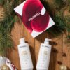 Goldwell Dualsenses Rich Repair Maxi Set