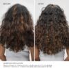 Olaplex In Good Repair Hair Kit: No. 3, 4, 5, 7, Shampoo & Conditioner Set, Hydrate, & Control Frizz (72H), Bonding Oil to Shine & Protect, Perfector to Strengthen & Reverse Damage