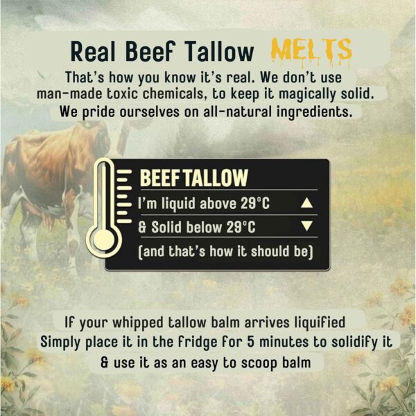 Beef Tallow Whipped Balm – Grass Fed Beef Tallow Face Cream & Moisturiser - Oud Scented 60g Golden Cow Hydrating Whipped Balm for Dry Skin - Natural Organic Skin care for Face & Body by Forticare