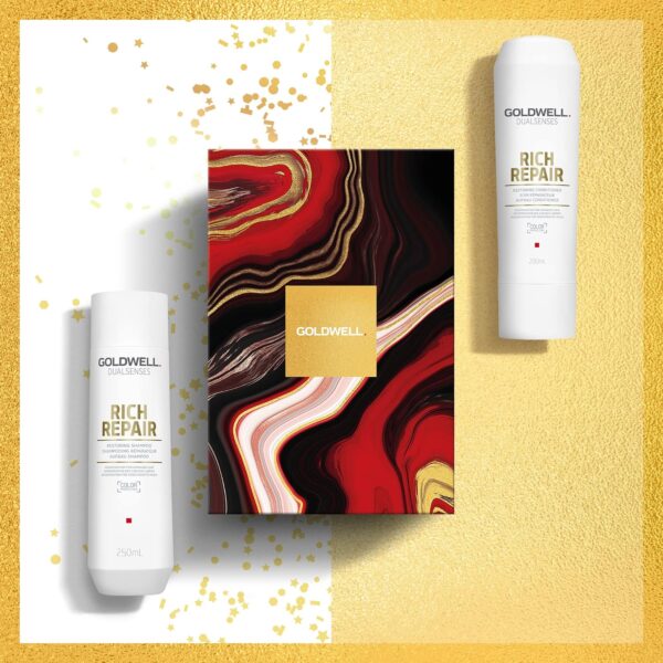 Goldwell Dualsenses Rich Repair Shampoo and Conditioner Set for Dry, Damaged hair