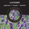 ASHLEIGH & BURWOOD | Lavender Lamp Fragrance | 1000 ml | Made in the UK | Floral Scent